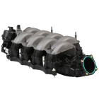 Ford Racing 18-21 Gen 3 5.0L Coyote insug