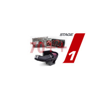 Steg 1 PCM + i3 tuner + JLT cai